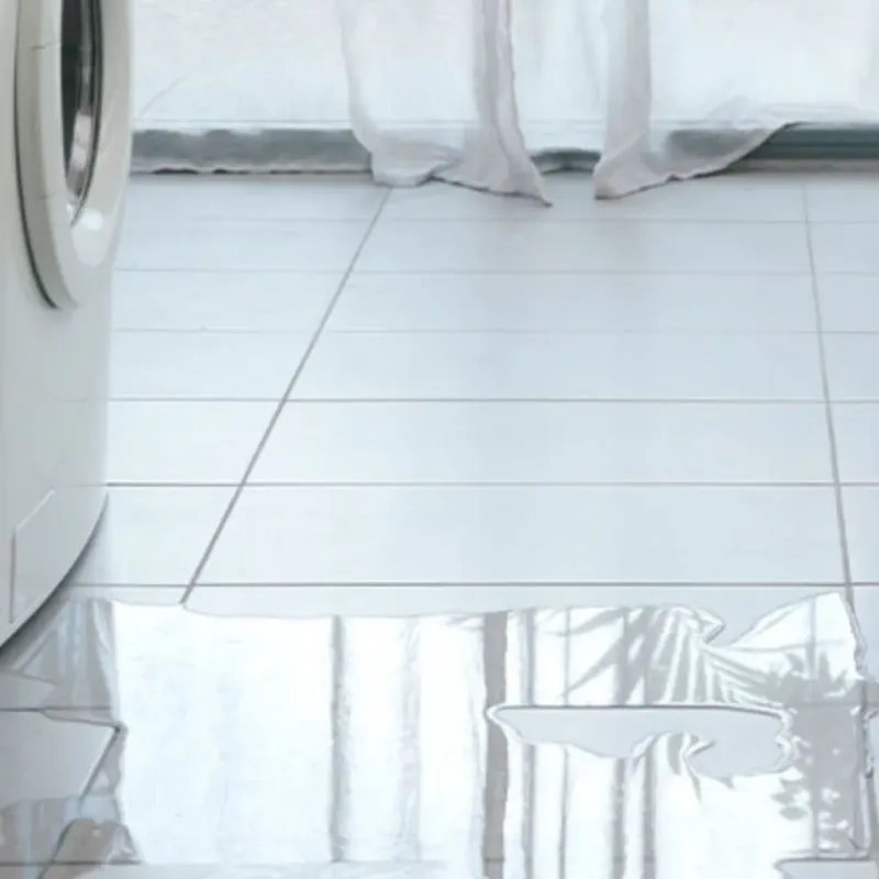 Appliance Leak Cleanup in Gateway, FL