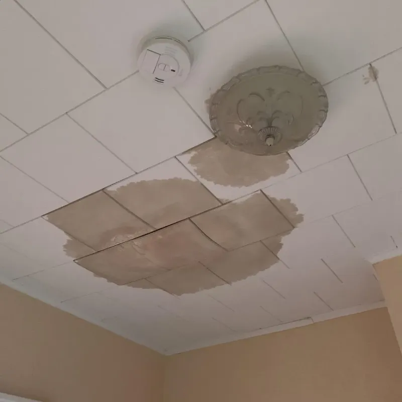 Ceiling Water Damage Repair in Gateway, FL